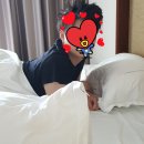 베네키아 중문호텔 | 제주여행 3일차