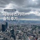 좋은날오후 - 고양시 일산동구 | 시부야 스카이 예약 꿀팁 날씨 안 좋은 날 다녀온 솔직 후기