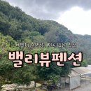 넘버원펜션 | 서울근교 추석 가족여행 비발디반려동물펜션 계곡펜견ㅣ홍천 밸리뷰펜션