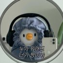 (주)나인앤식스 | 앤톤뮤직로그.. 생카준비후기♪