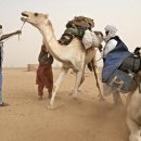 하나여인숙 이미지