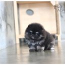 작고 소중해 이미지