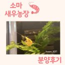 소마 새우농장 | 소마 새우농장 분양후기.