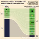 2023년 지금까지 S&P 500 수익률을 주도한 주식은 단 20개 이미지