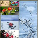 19)03. 莊子장자 外篇외편 第19篇 達生(달생)(第03章)/빈센트 반 고흐 아몬드,국제정원박람회,동백,雲芝운지버섯,한국 핵잠 도입, 이미지