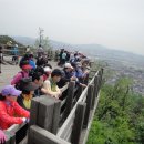 아포중학교 이미지