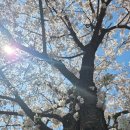 덕선재 | 🌸 서울 북한산뷰 덕선재 1박 2일 가족여행 후기