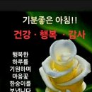 건강하고 아름답게