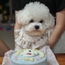 올데이멍 이미지