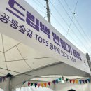 커피 없으면 죽는 사람의 경춘선 공릉숲길 커피축제 후기