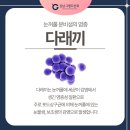 강남샘약국 이미지