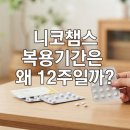 (주)개린그룹파트너스 | 금연약 니코챔스 얼마나 먹어야 할까? 12주 복용기간과 중단 후 실제 후기