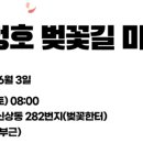 2023 대청호 벚꽃길 마라톤 대회 이미지