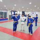 용인대 대구유도체육관 이미지