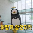 [EP.363] 폭우 속 기상터널에 고립된 펭수 화면 컵쳐 이미지