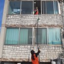 대진자원 이미지