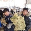 고척1동주민센터 이미지