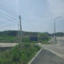 동재치과의원 네이버블로그