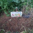 꼬망쎄어린이집 이미지