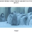 황제펭귄의 교훈﻿ 이미지