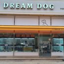 드림독 강아지분양 안심분양센터 인천점 이미지