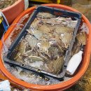 유미수산 이미지