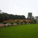 어연보건진료소 이미지