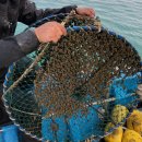 비안도수산 이미지