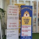 살랑살랑하개 | (일산 맛집) 일산에 신상 수제 애견간식, 요니간식!!