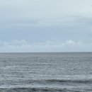 바당 미술관 이미지