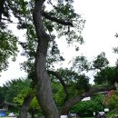 청양 들길농장 | ♬ 마음을 여는 절, 서산 상왕산 개심사