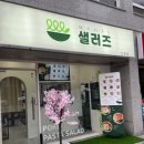 샐러즈 이미지