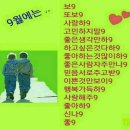 조례호수공원 이미지
