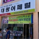 대광어페럴
