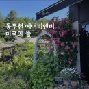 미르의 뜰 이미지