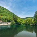 (주)밝은여행사