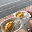 라이스365 | [방콕] K. Panich Sticky Rice (파니치 스티키라이스) | 방콕 망고밥 커파닛 미슐랭 맛집 후기 (cash only)