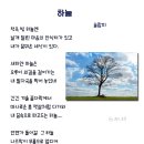 술람미 이미지