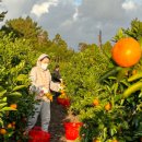 제주첫날 민박 이미지