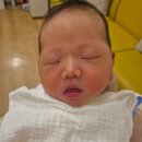 세가온산부인과의원 | 37주 6일차 강릉 세가온 산부인과 제왕절개 후기 2탄