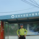 약초울 Daum카페