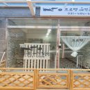 프로펫 애견 미용실 이미지