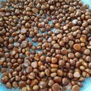 천년광장 이미지