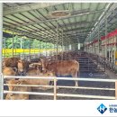 햇살처럼1호 태양광발전소 이미지