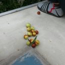 준이펜션 이미지