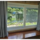 딩동댕애견스파풀빌라 이미지