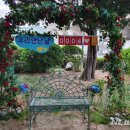 시민운동장(서문) 이미지