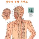 인체경혈도 후면 이미지