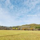 대청공원 놀이터 이미지