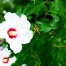 로하우스 이미지